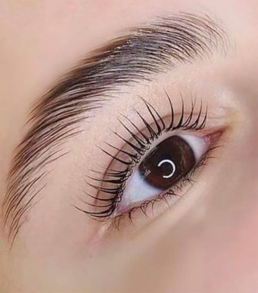 Brow Lamination