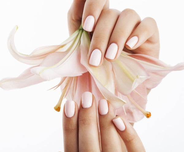 Regular manicure - Laura's Beauty Touch, Spa Services in Rego Park, New York 11374