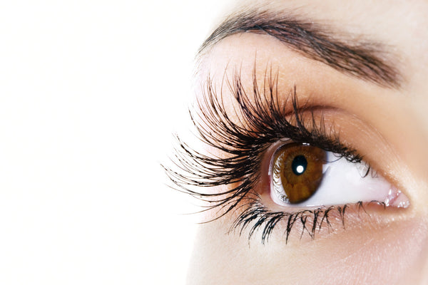 Mink Eyelash Extension - Laura's Beauty Touch, Spa Services in Rego Park, New York 11374