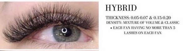 2D (Hybrid Set) Eyelashes