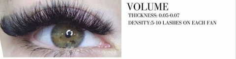 3D (Volume Set) Eyelashes