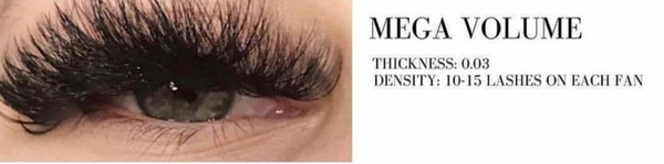 4D (Mega Volume) Eyelashes